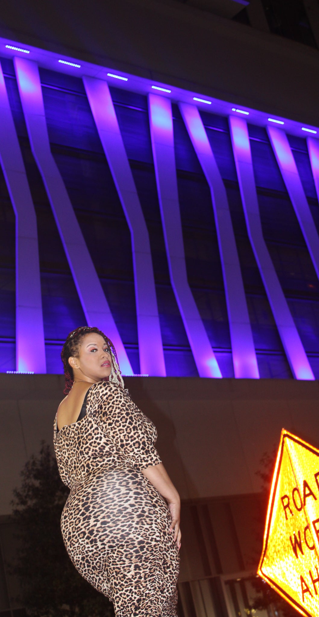 Off Shoulder Ruched 3/4 sleeves Body-con animal print dress.