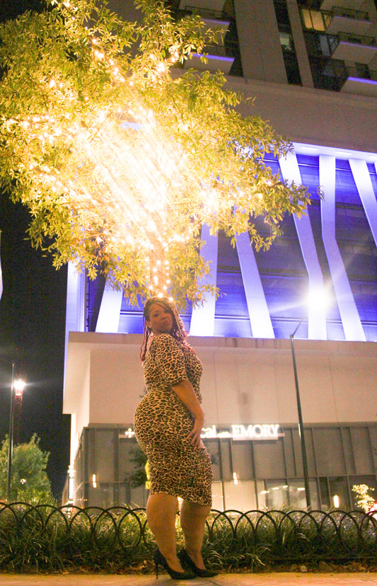 Off Shoulder Ruched 3/4 sleeves Body-con animal print dress.